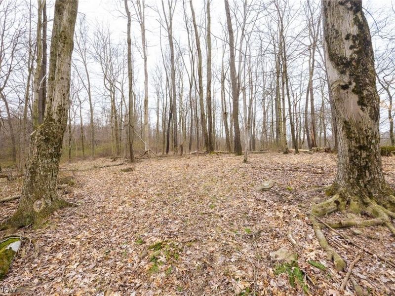 Township Road 71 , Killbuck, OH 44637 Photo 18