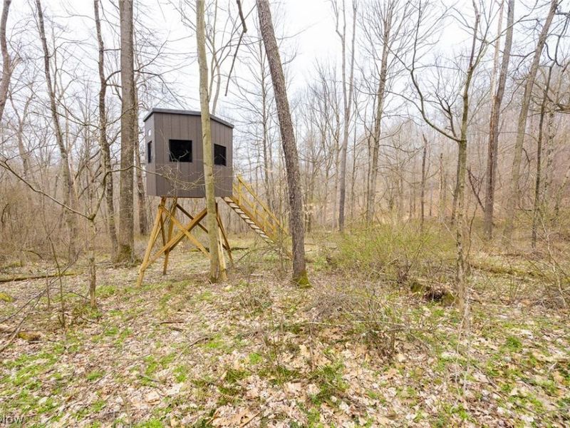 Township Road 71 , Killbuck, OH 44637 Photo 19