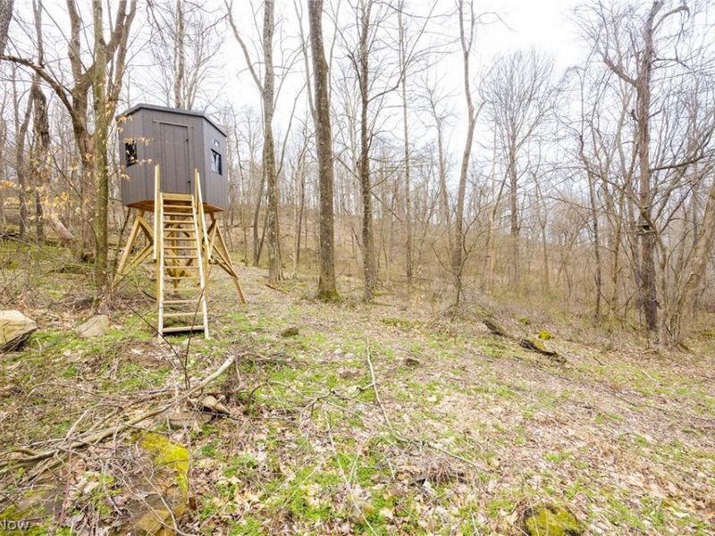 Township Road 71 , Killbuck, OH 44637 Photo 20