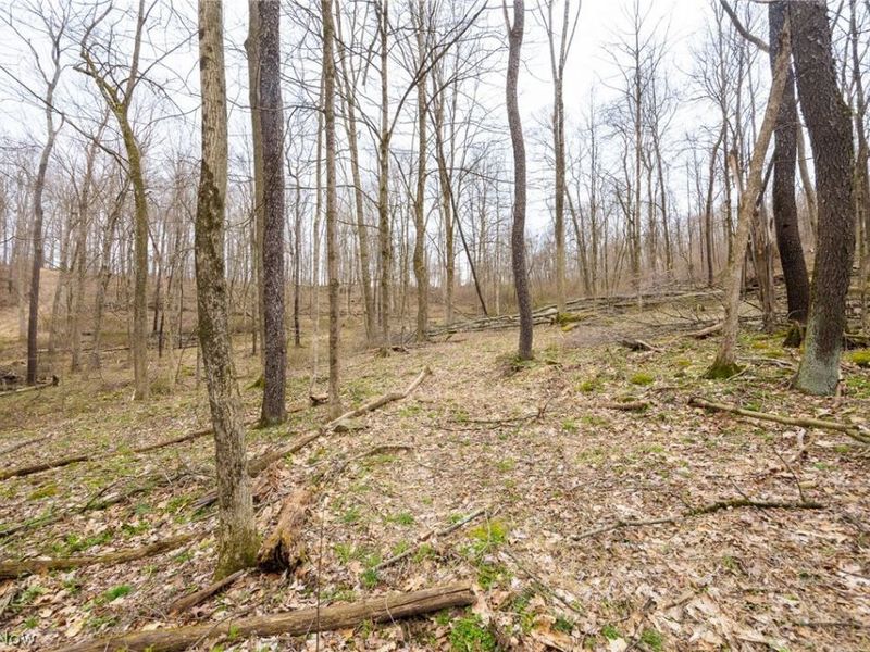 Township Road 71 , Killbuck, OH 44637 Photo 21