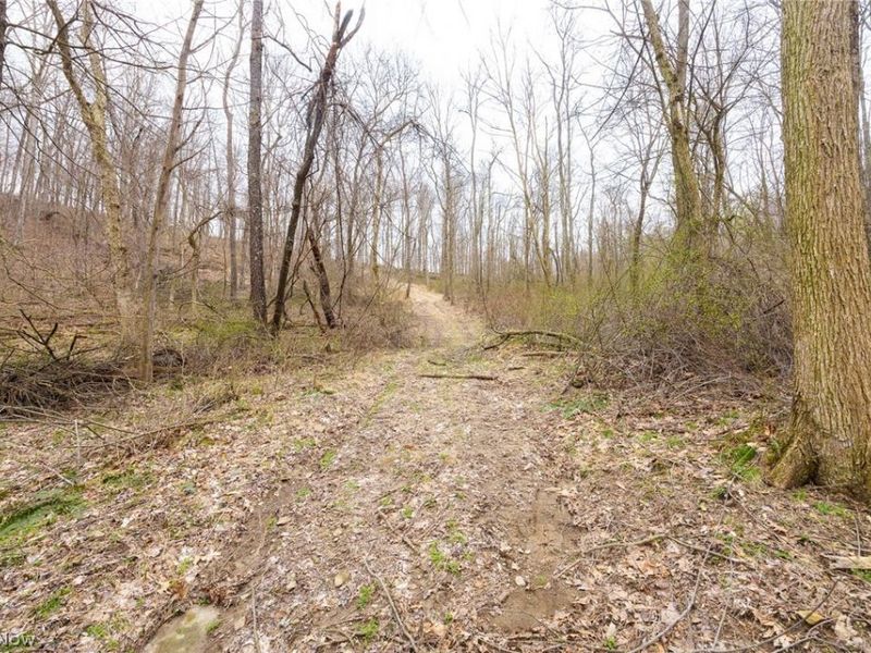 Township Road 71 , Killbuck, OH 44637 Photo 22