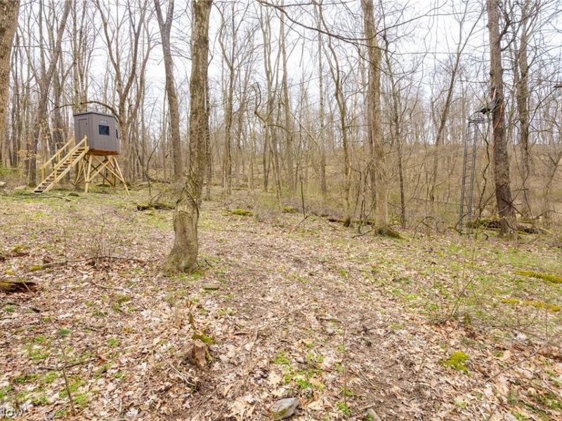 Township Road 71 , Killbuck, OH 44637 Photo 23