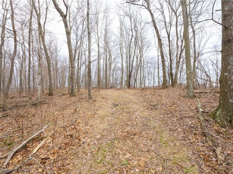 Township Road 71 , Killbuck, OH 44637 Photo 24