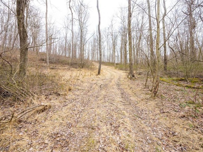 Township Road 71 , Killbuck, OH 44637 Photo 25