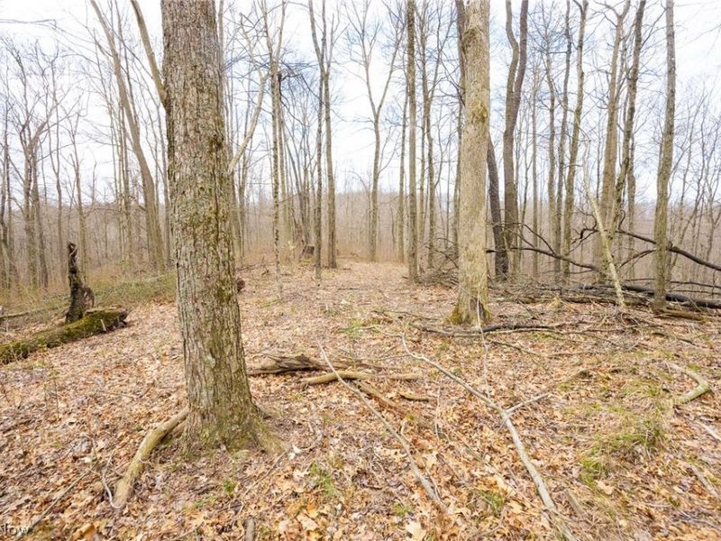 Township Road 71 , Killbuck, OH 44637 Photo 26