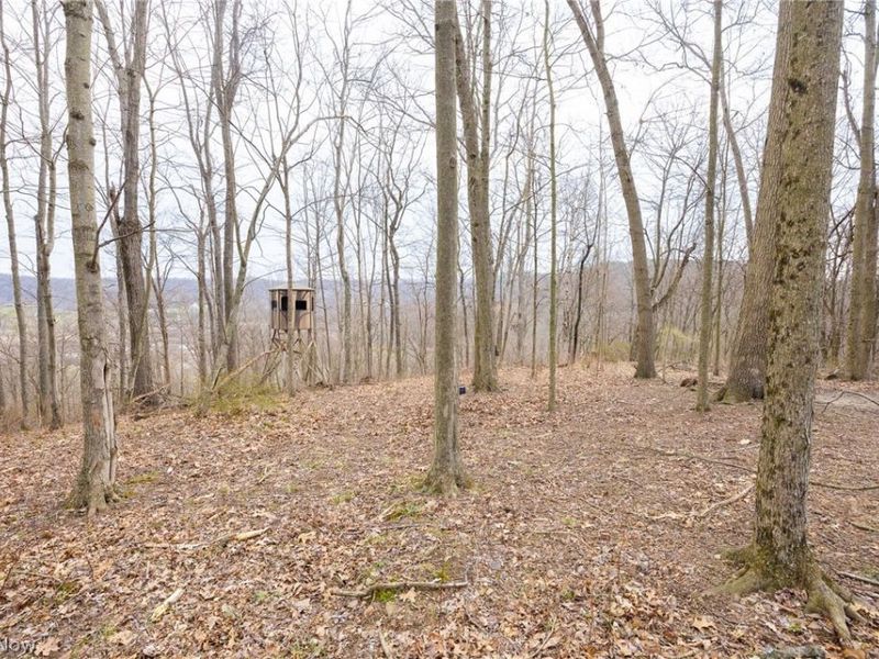 Township Road 71 , Killbuck, OH 44637 Photo 27