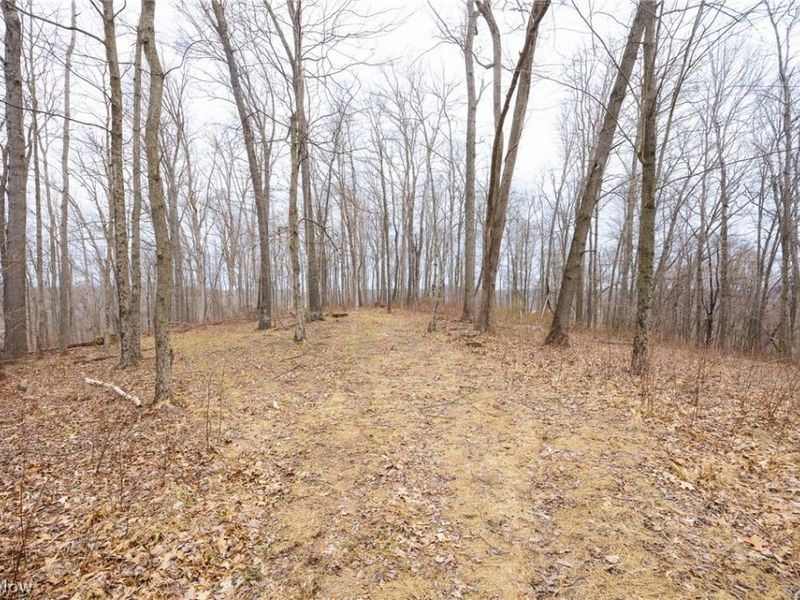 Township Road 71 , Killbuck, OH 44637 Photo 28