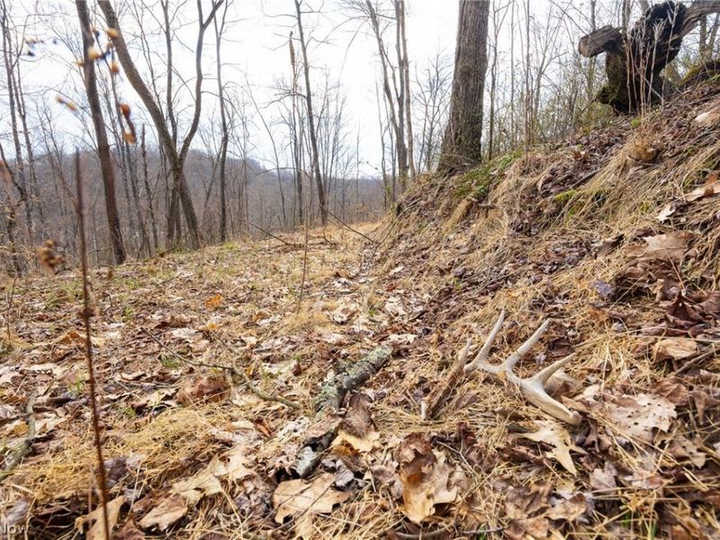 Township Road 71 , Killbuck, OH 44637 Photo 29