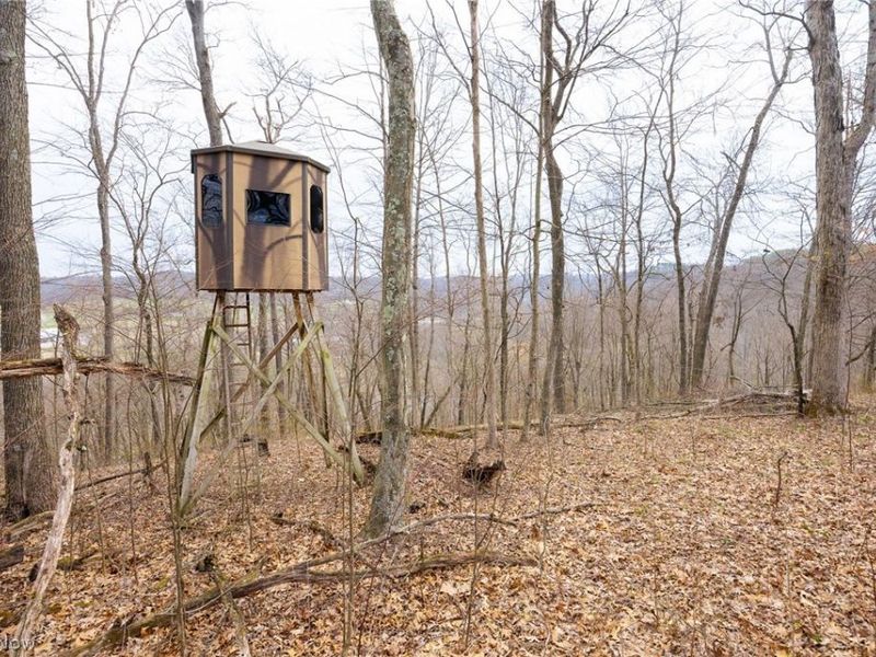 Township Road 71 , Killbuck, OH 44637 Photo 30