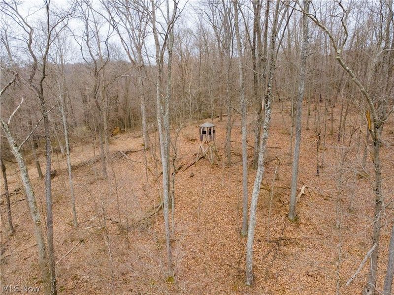 Township Road 71 , Killbuck, OH 44637 Photo 31