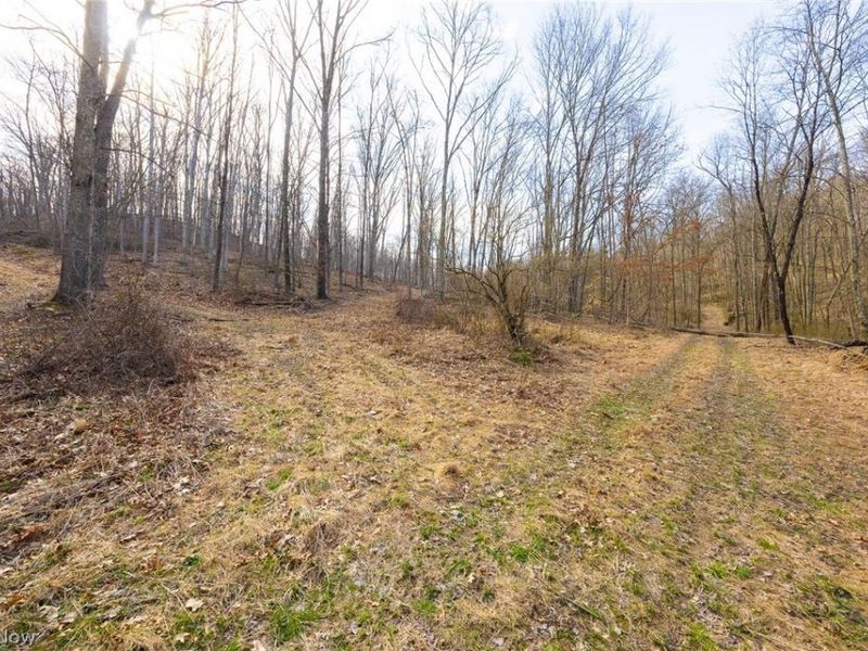 Township Road 71 , Killbuck, OH 44637 Photo 32