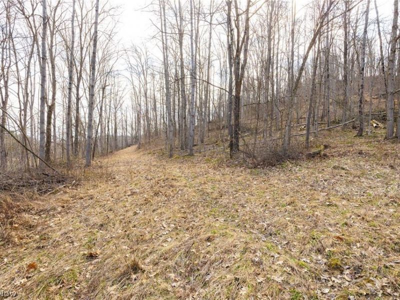 Township Road 71 , Killbuck, OH 44637 Photo 34