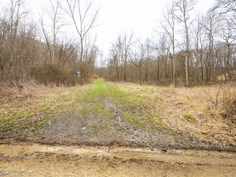 Township Road 71 , Killbuck, OH 44637 Photo 5