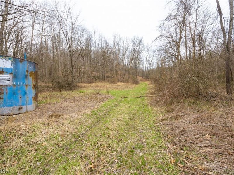 Township Road 71 , Killbuck, OH 44637 Photo 6