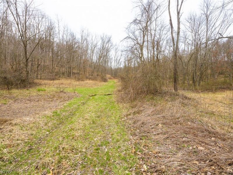 Township Road 71 , Killbuck, OH 44637 Photo 7