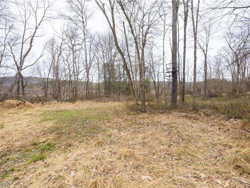 Township Road 71 , Killbuck, OH 44637 Photo 8