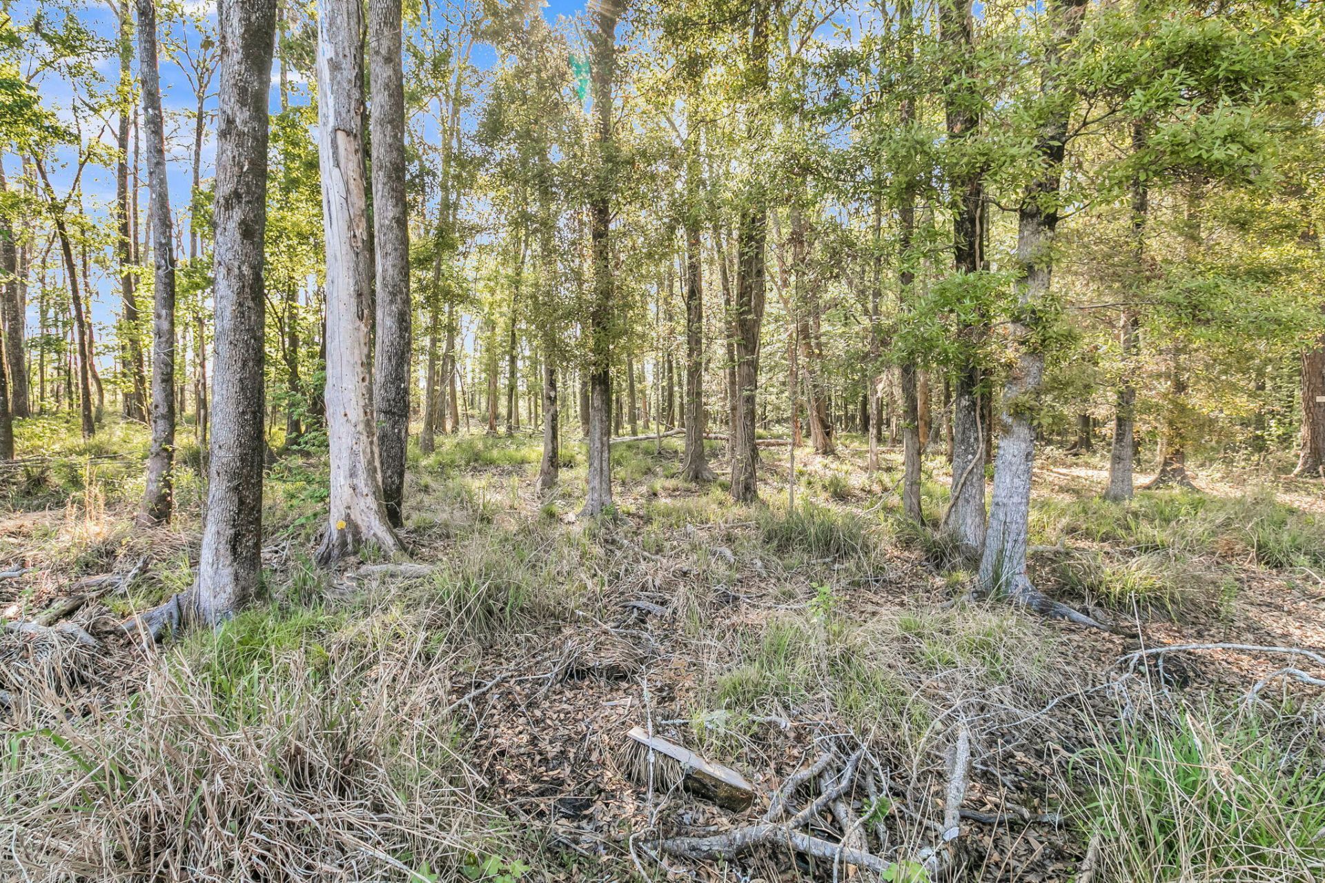 1126 Coastal Creek Court Photo 51