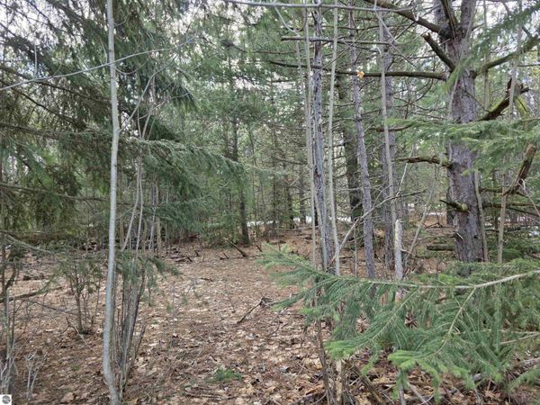 1 Cedar River Road, Mancelona, MI 49659