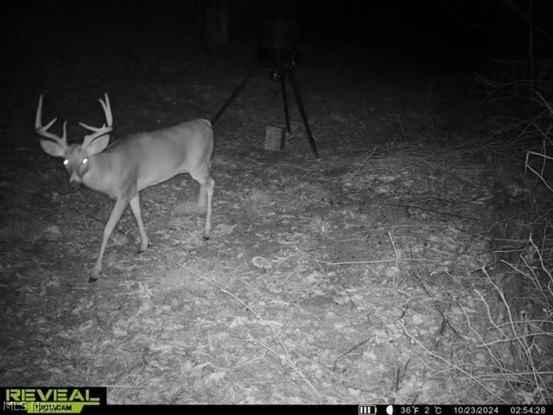 1425 Township Road 192, Cadiz, OH 43907 Photo 50