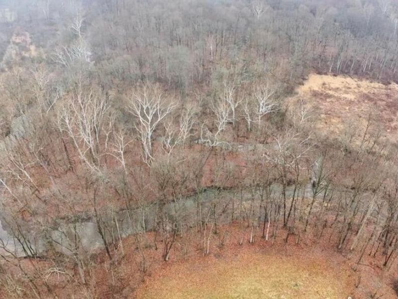 2020 County Rd 228, Ashley, OH 43003 Photo 6