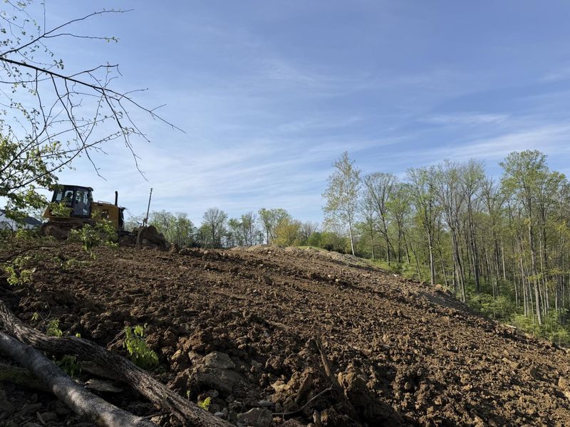 2981 AMBROSIA Way, Unit 4, Fort Mitchell, KY 41017 Photo 5