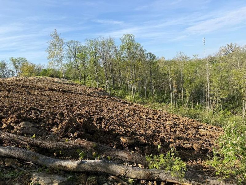 2981 AMBROSIA Way, Unit 4, Fort Mitchell, KY 41017 Photo 6