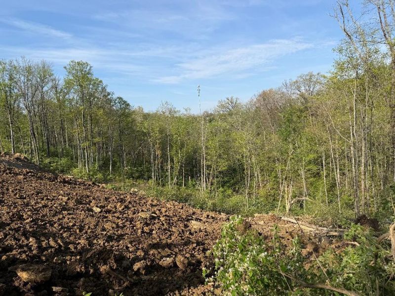 2981 AMBROSIA Way, Unit 4, Fort Mitchell, KY 41017 Photo 8