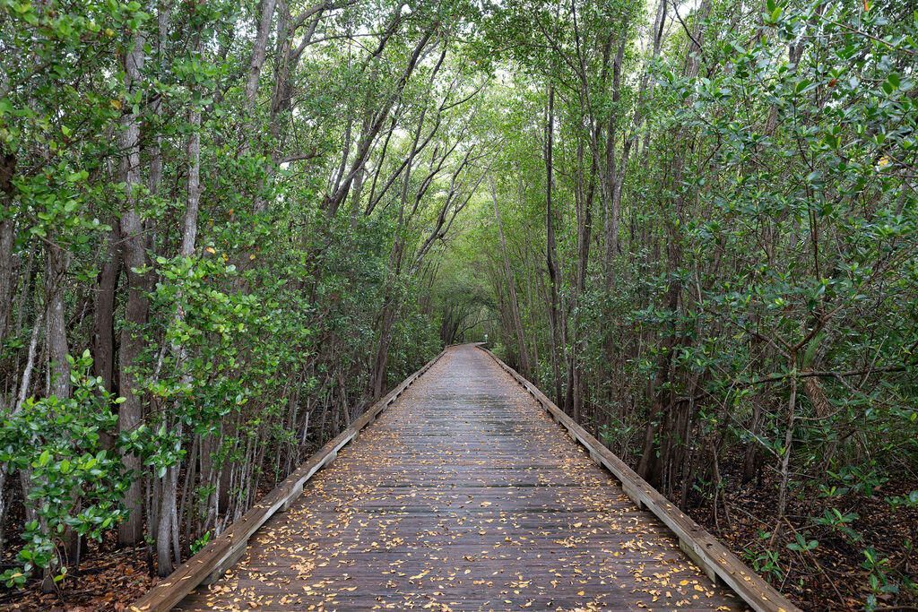 9931 SE Osprey Pointe Drive, Hobe Sound, FL 33455 Photo