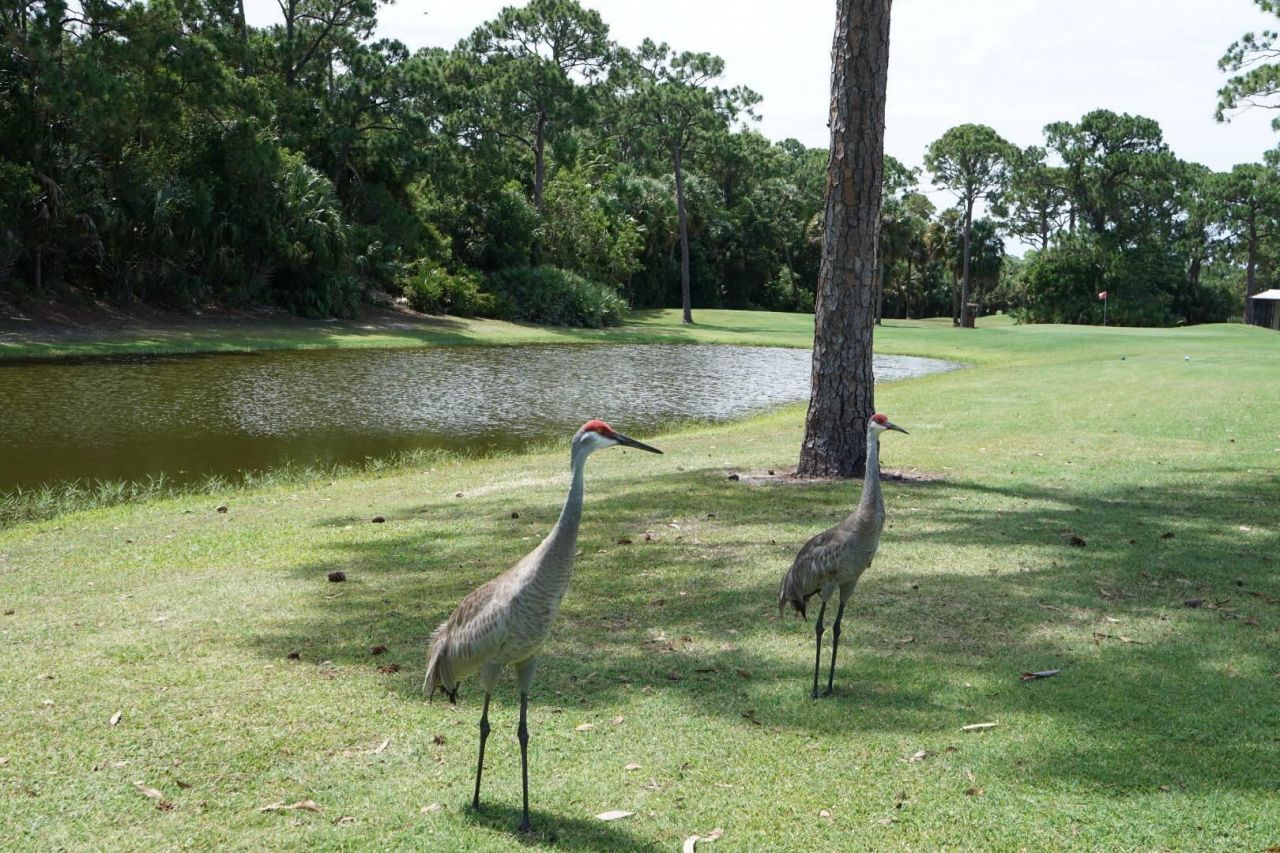 41 Montilla Way, Port Saint Lucie, FL 34952 Photo