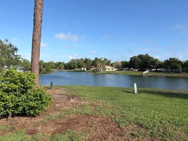 201 Kings Boulevard, Unit 19, Sun City Center, FL 33573 Photo