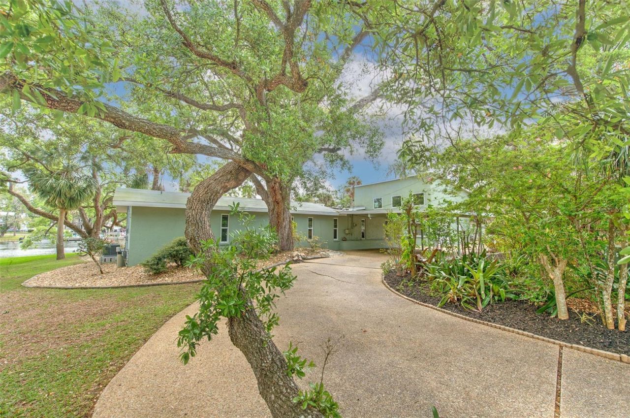 7102 Mandy Lane, New Port Richey, FL 34652 Photo