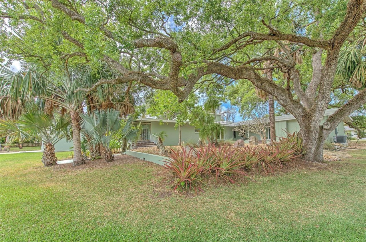 7102 Mandy Lane, New Port Richey, FL 34652 Photo