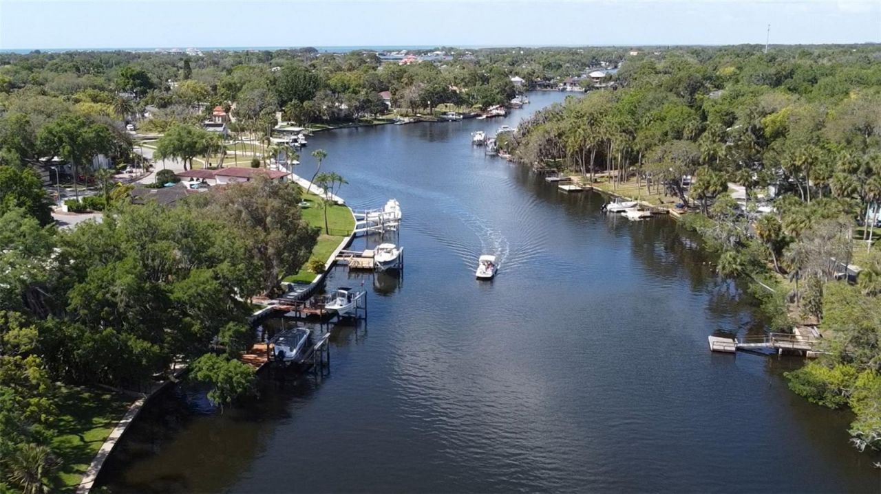 7102 Mandy Lane, New Port Richey, FL 34652 Photo