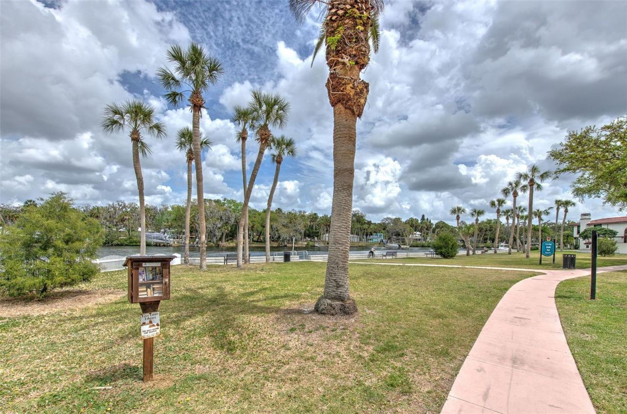 7102 Mandy Lane, New Port Richey, FL 34652 Photo