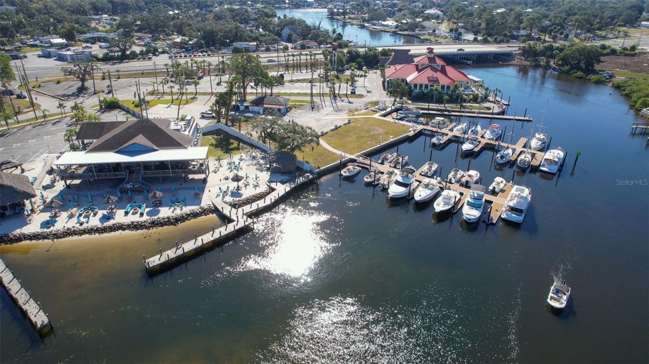 7102 Mandy Lane, New Port Richey, FL 34652 Photo