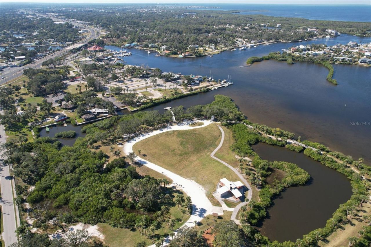 7102 Mandy Lane, New Port Richey, FL 34652 Photo