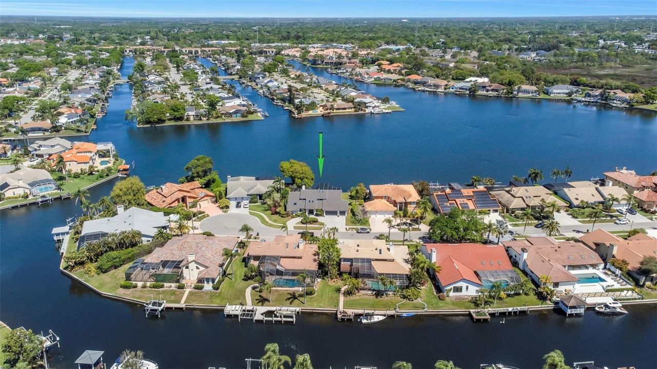 9821 Bay Island Drive, Tampa, FL 33615 Photo