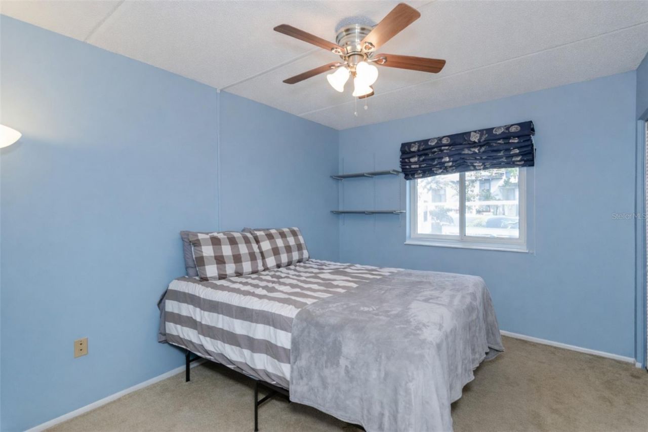 207 Cypress Lane, Oldsmar, FL 34677 Photo