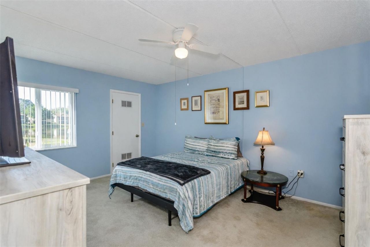 207 Cypress Lane, Oldsmar, FL 34677 Photo