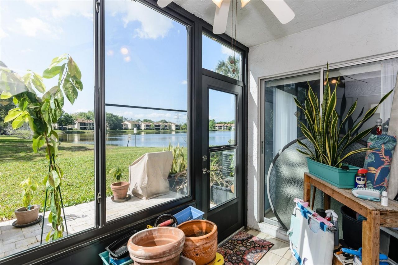 207 Cypress Lane, Oldsmar, FL 34677 Photo