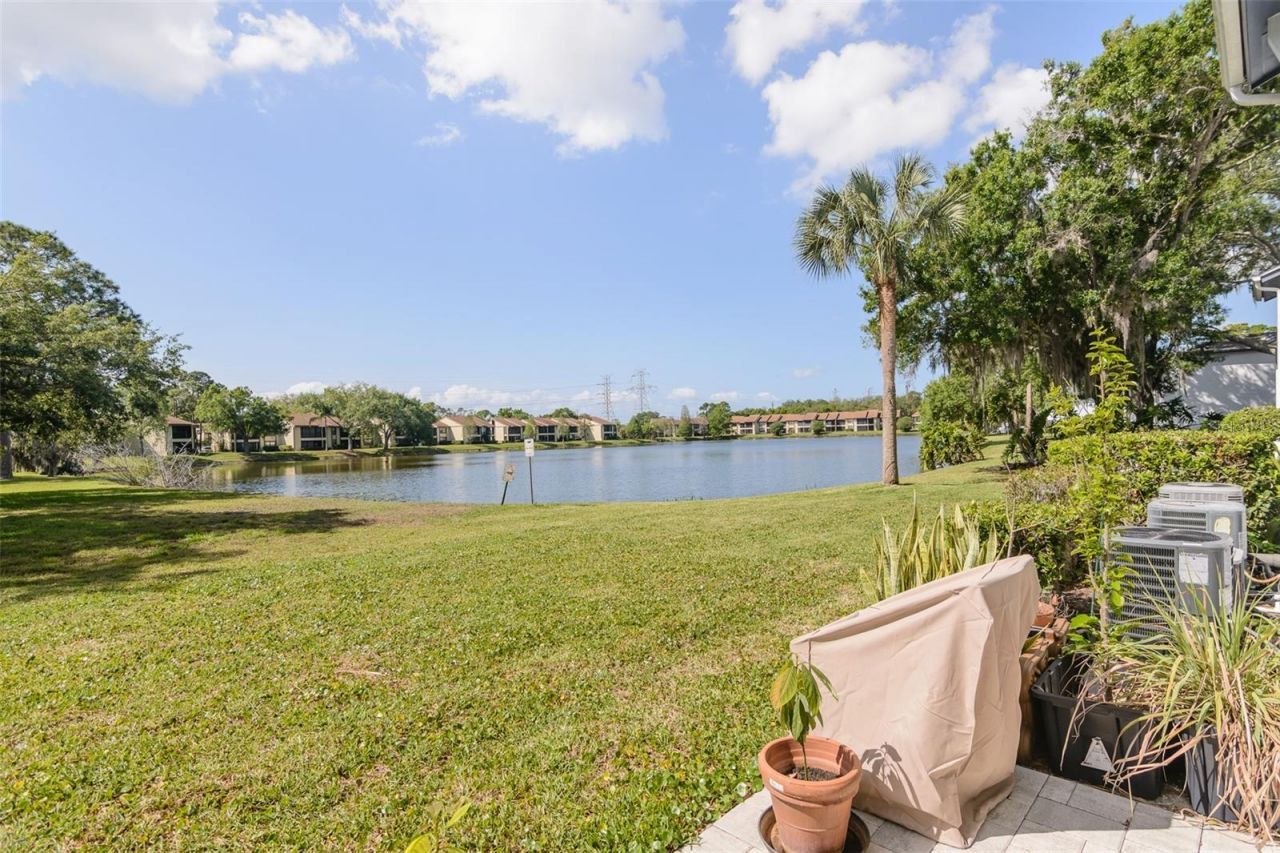 207 Cypress Lane, Oldsmar, FL 34677 Photo