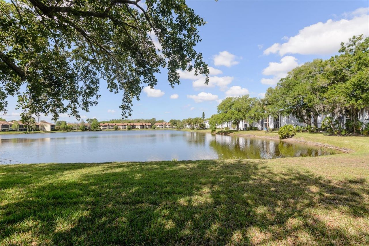 207 Cypress Lane, Oldsmar, FL 34677 Photo