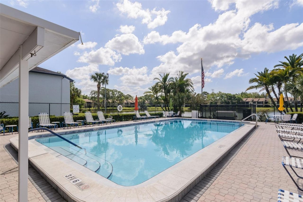 207 Cypress Lane, Oldsmar, FL 34677 Photo