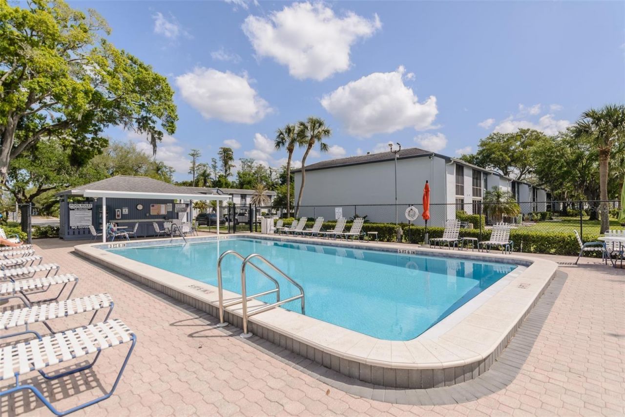 207 Cypress Lane, Oldsmar, FL 34677 Photo