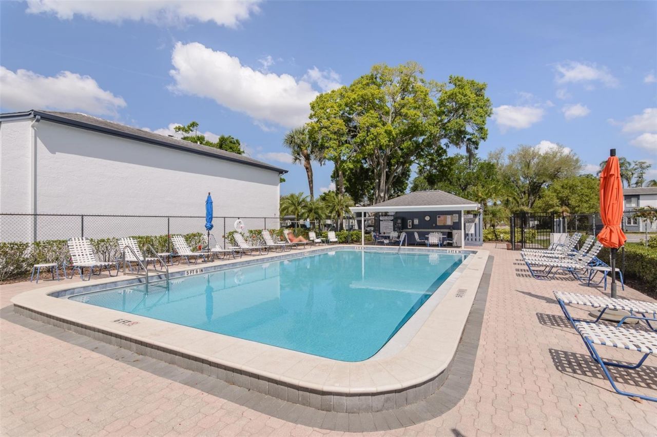 207 Cypress Lane, Oldsmar, FL 34677 Photo