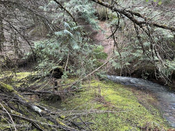 NNA E Bell Canyon Rd , Harrison, ID 83833