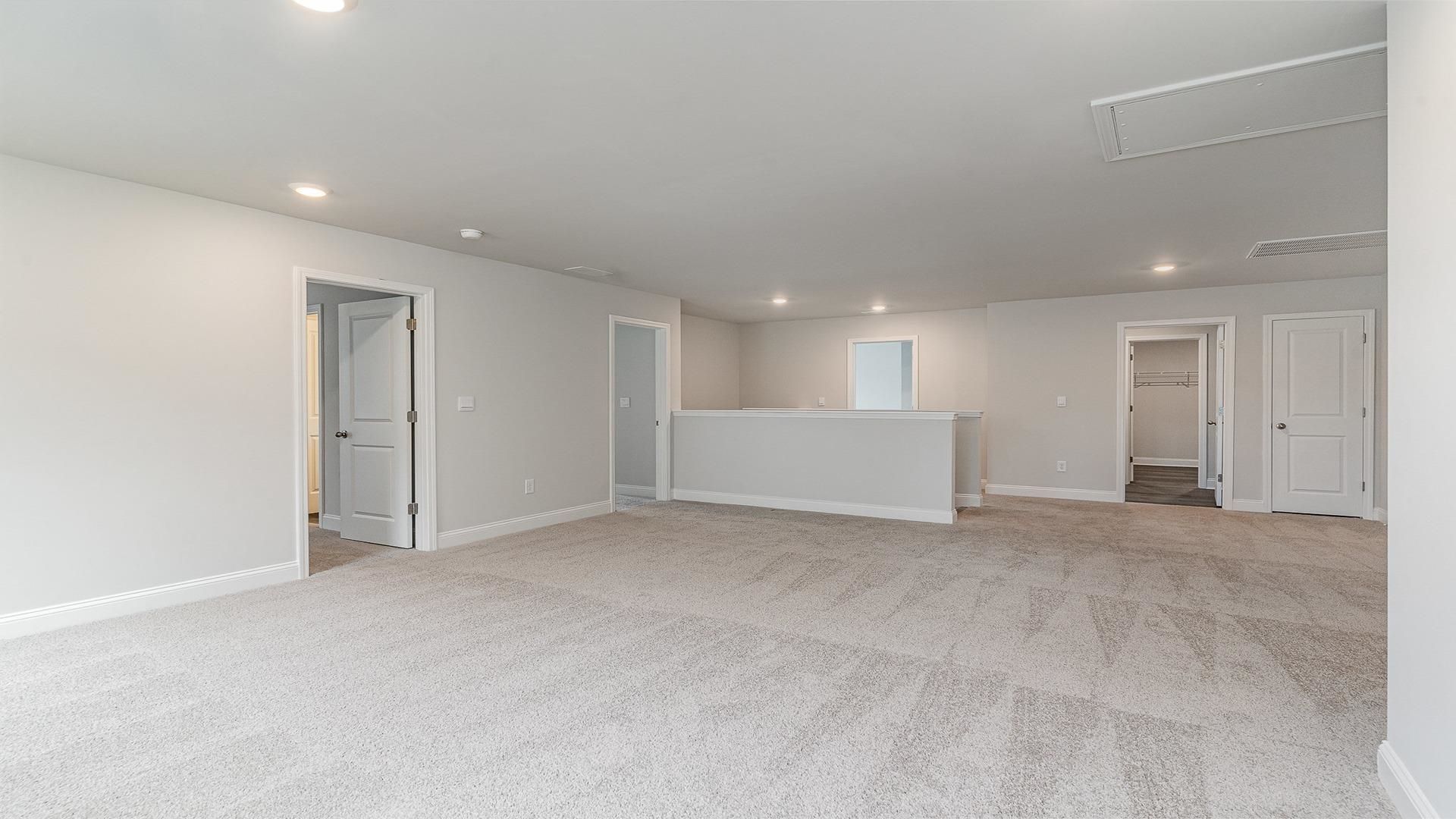 347 Hadley Springs Ave  Photo 11