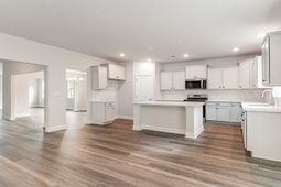 347 Hadley Springs Ave  photo 4