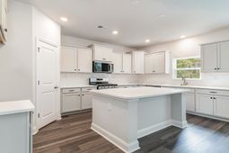 347 Hadley Springs Ave  photo 4