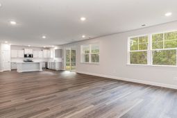 347 Hadley Springs Ave  photo 4